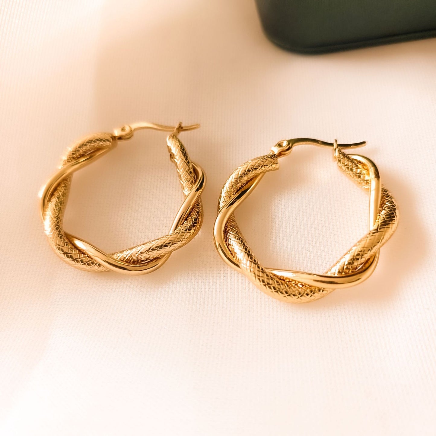 Ear High-grade Light Luxury Hoop Titanium Steel Trendy Cold High Earrings