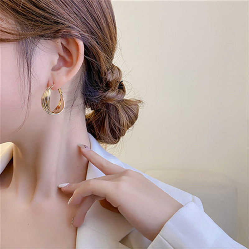 Design Sense Female Geometric Ear Fashion Earrings