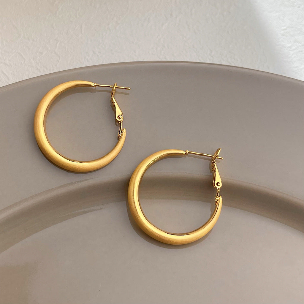 Matte Texture Geometric Female Niche Fashion Earrings