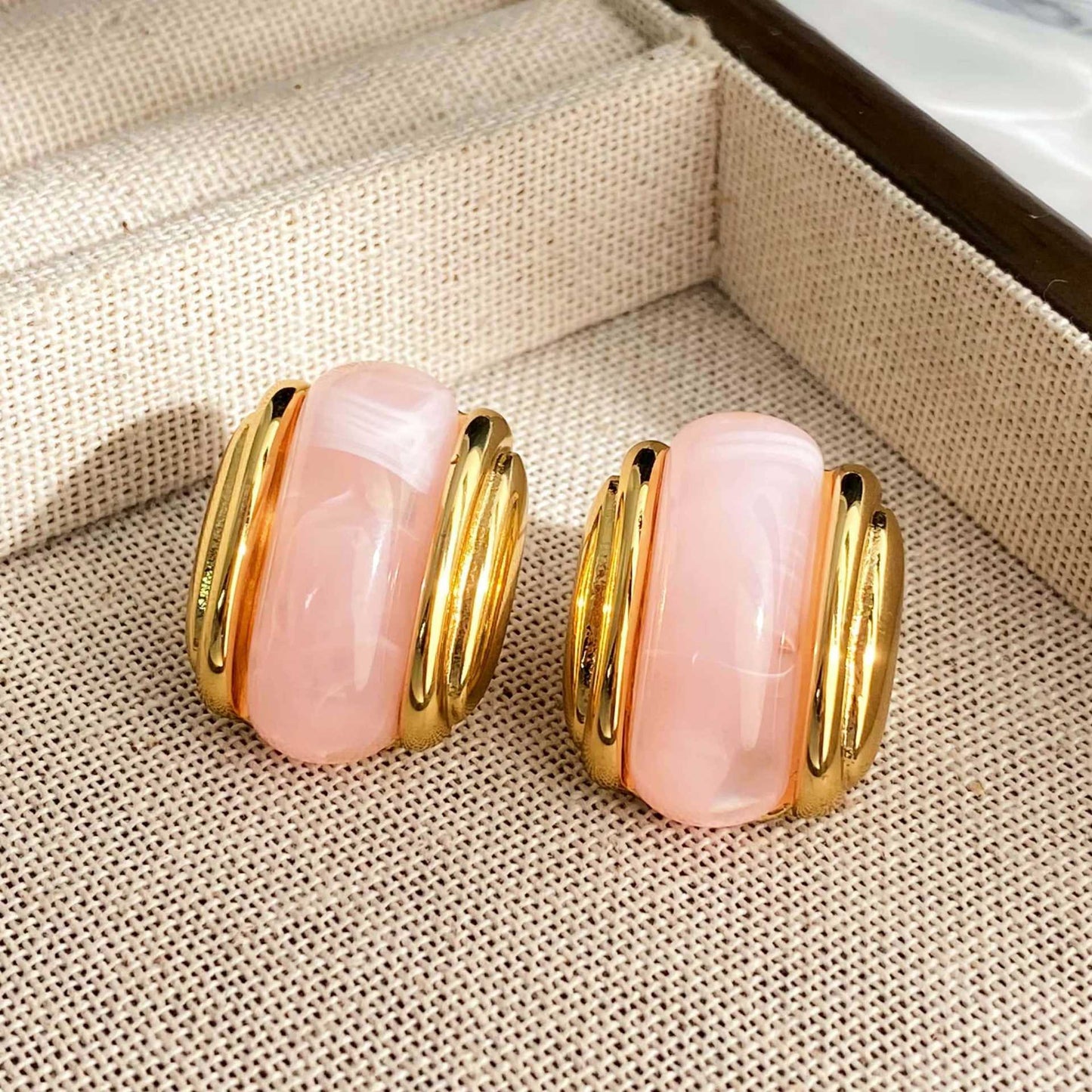 Luxury Resin Oval Optional Stainless Steel Earrings
