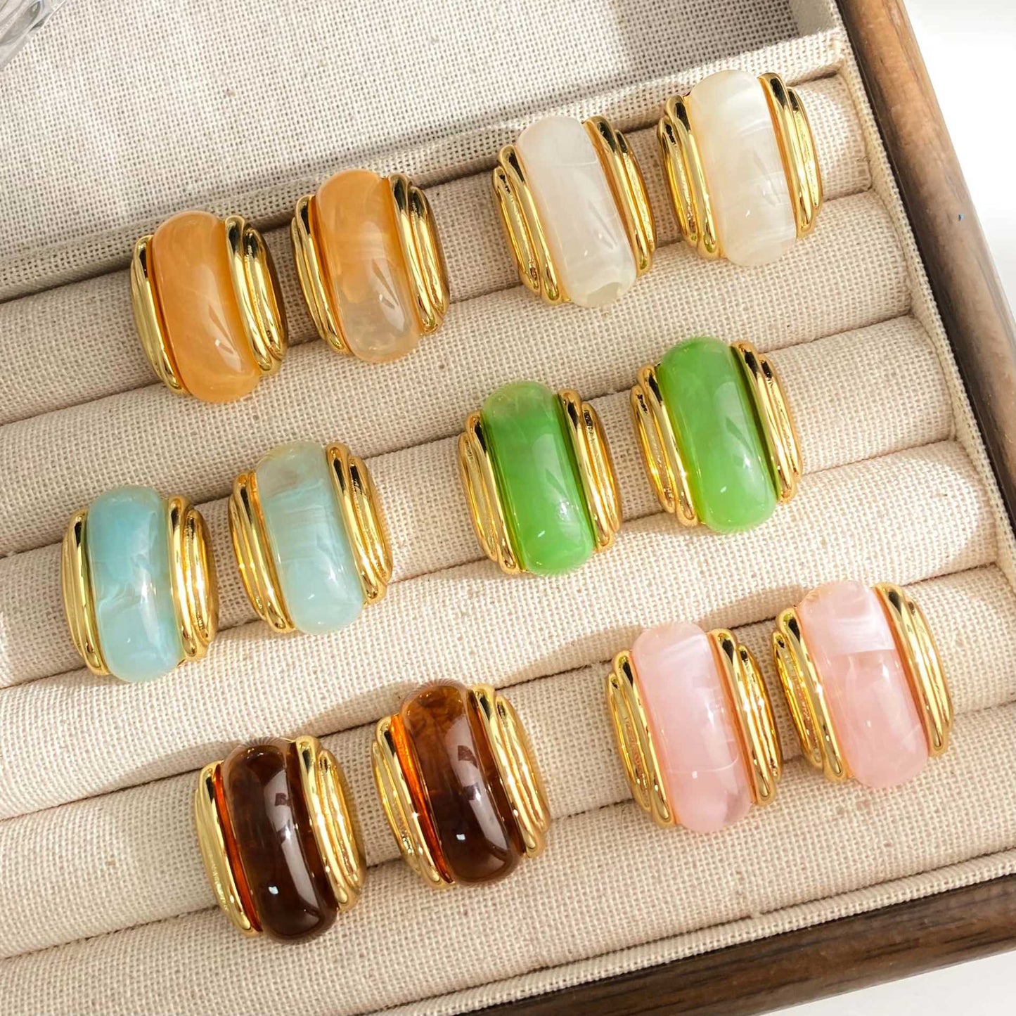 Luxury Resin Oval Optional Stainless Steel Earrings