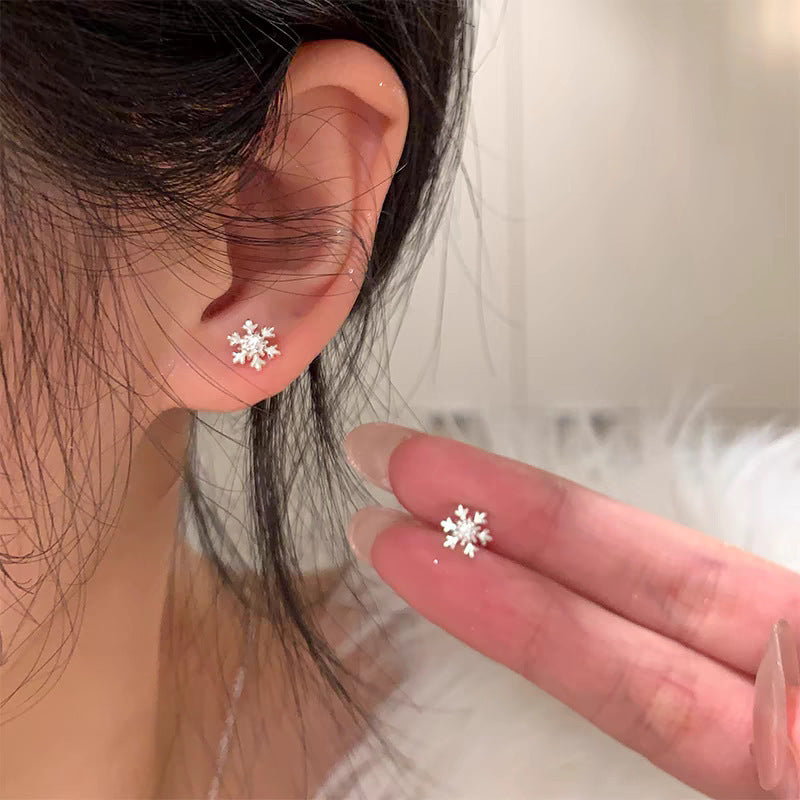 Women's Zircon Tassel Light Luxury High Sense Stud Earrings