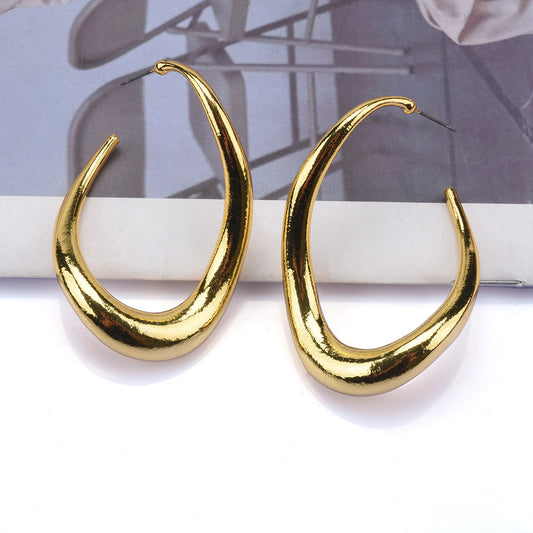 Women's Metal Alloy Exaggerated Trendy Geometric Style Earrings