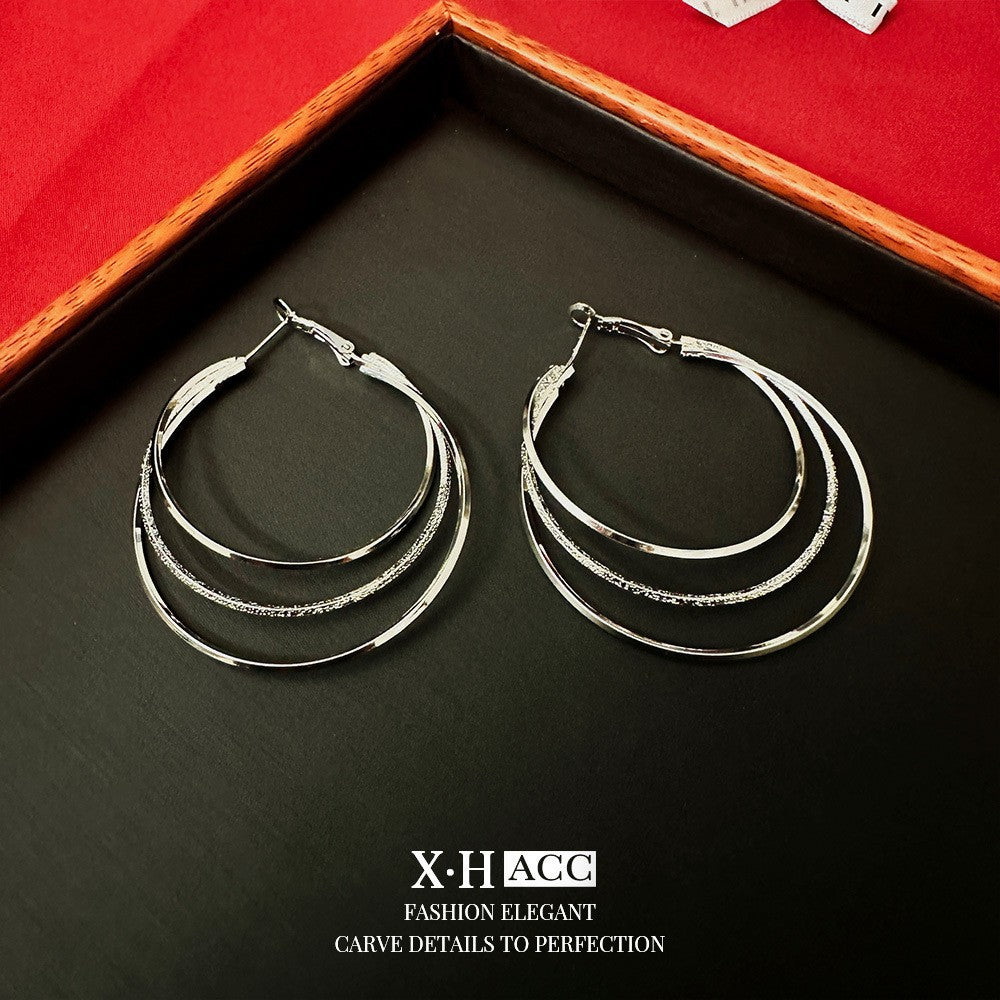 Fashionable Metal Texture Light Luxury Simple Earrings