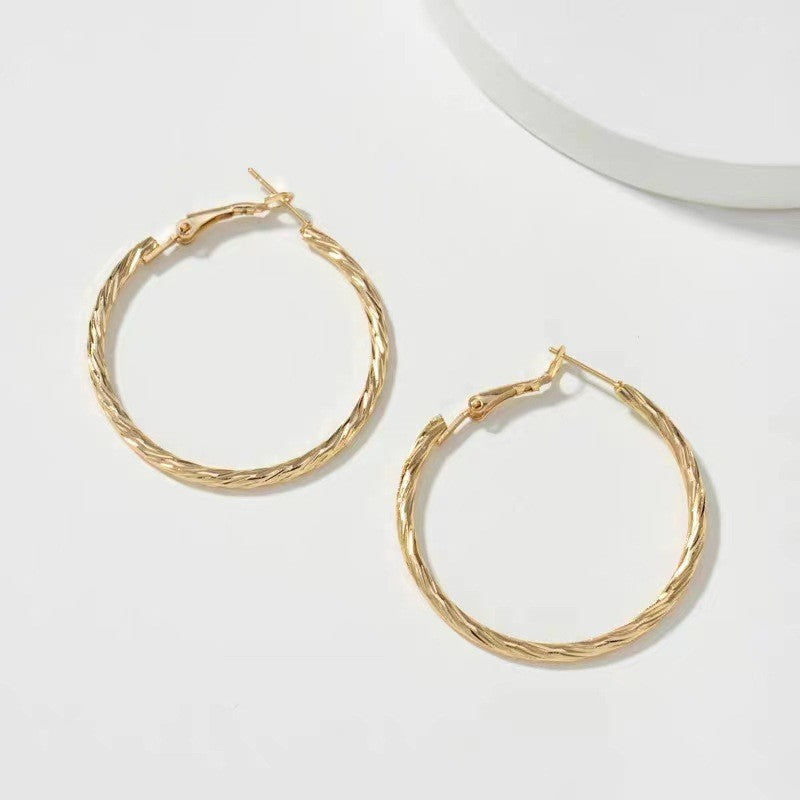 Light Luxury Temperament Fashion Simple Everyday Joker Niche Advanced Earrings