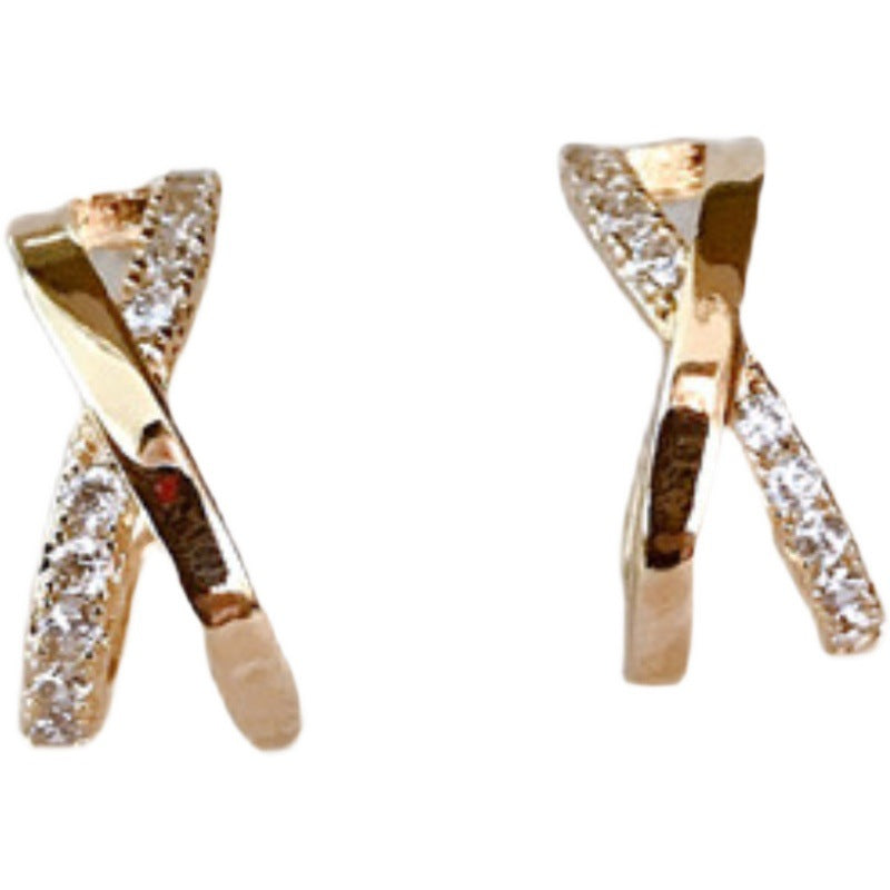 Women's Trendy Temperament Entry Lux Special Interest Earrings