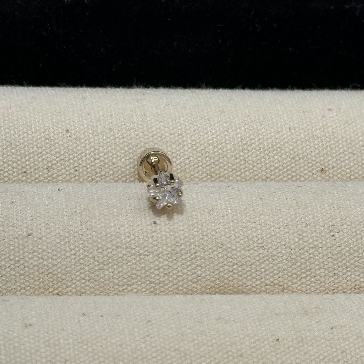 Women's Light Coffee Gold Collection Series Minimalist Zircon Ear Earrings
