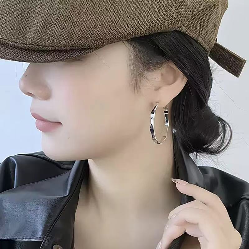 Luxury Frosty Style Fashion Irregular Geometric Circle Personality High Sense Stud Earrings