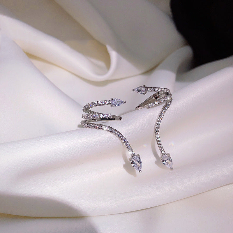 Exquisite Crystal Tide Niche Design Ear Stud Earrings