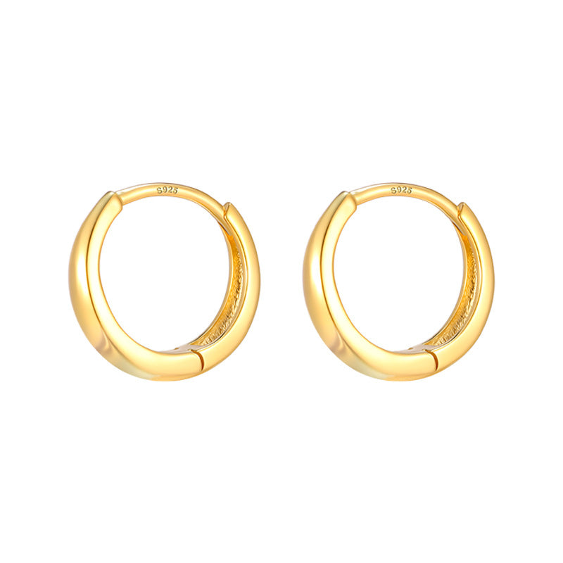 Women's High-grade Zircon Design Simple Sier Pin Ear Earrings