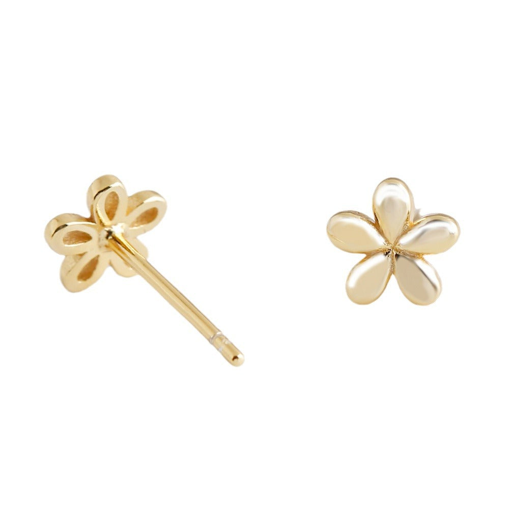 Women's Compact Flower Sterling Sier Fashion Summer Earrings