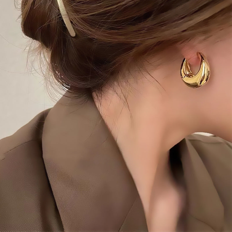 Metal Scenery Surface Fashion Temperament Commute Earrings