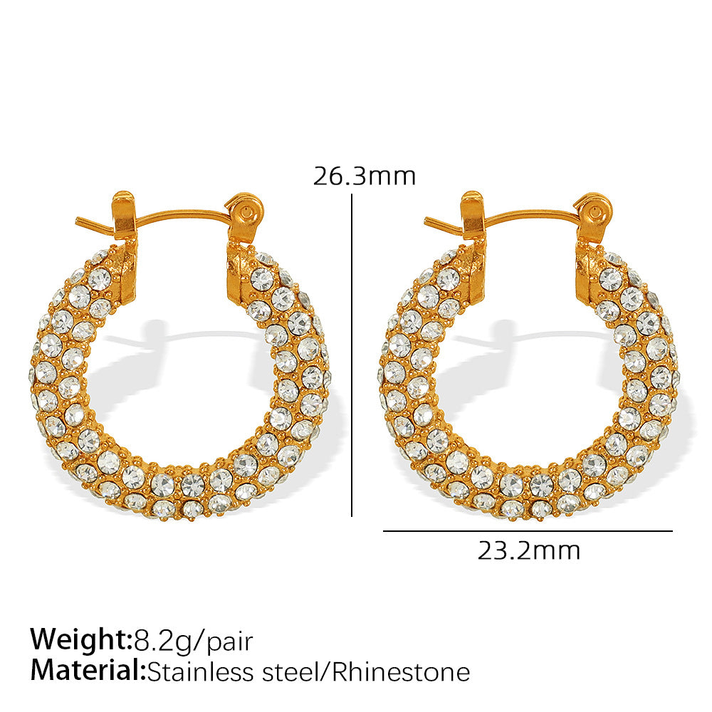 Women's Rhinestone Ear Special Interest Light Luxury Fashion Stainless Earrings
