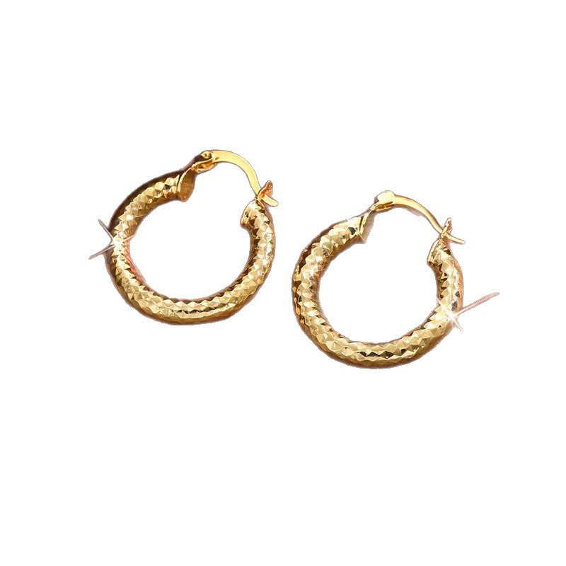 Affordable Luxury Embossed Ear Female Cold Wind Earrings