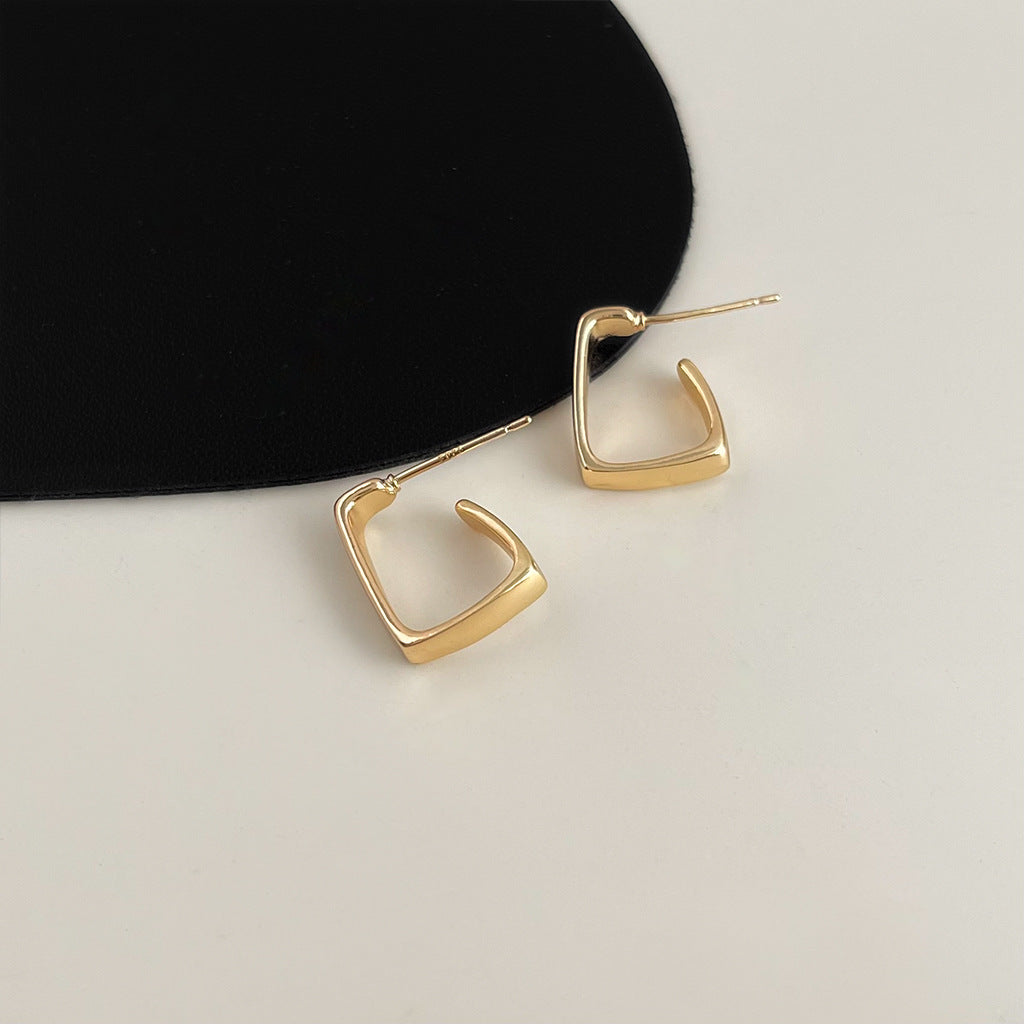 Women's Geometric Metal Exaggerated Ear Design Irregular Elegant Earrings