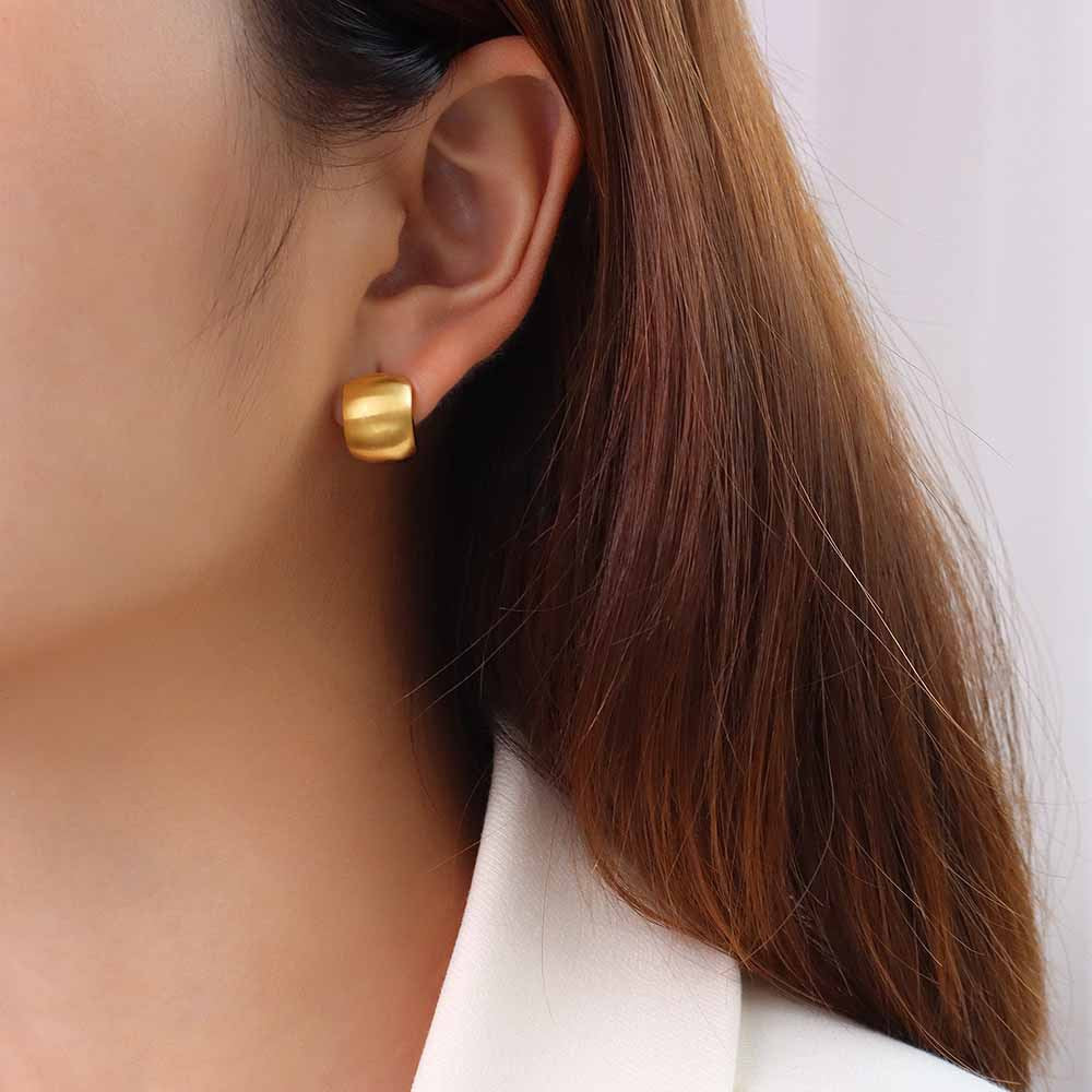 Simple Niche Retro Geometric Ear Titanium Earrings