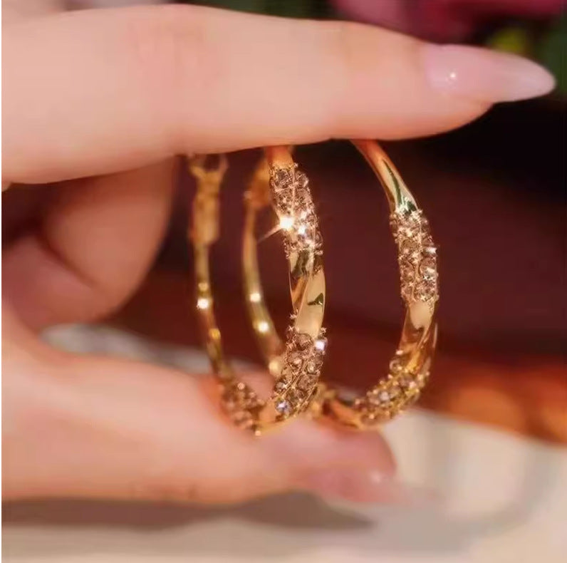 Fashion Big Hoop Female High Sense Light Luxury Minority Design Earrings