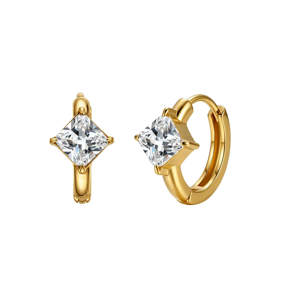 Women's Stainless Steel Diamond Tassel Simple Niche Everyday Joker Twin Collection Earrings