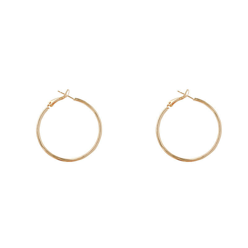 Sier Needle Hoop Female Summer Light Luxury Temperament Earrings