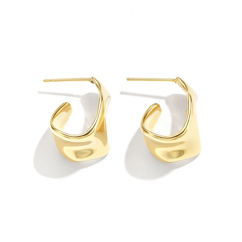 Metal Frosty Style Niche Design Geometric Earrings