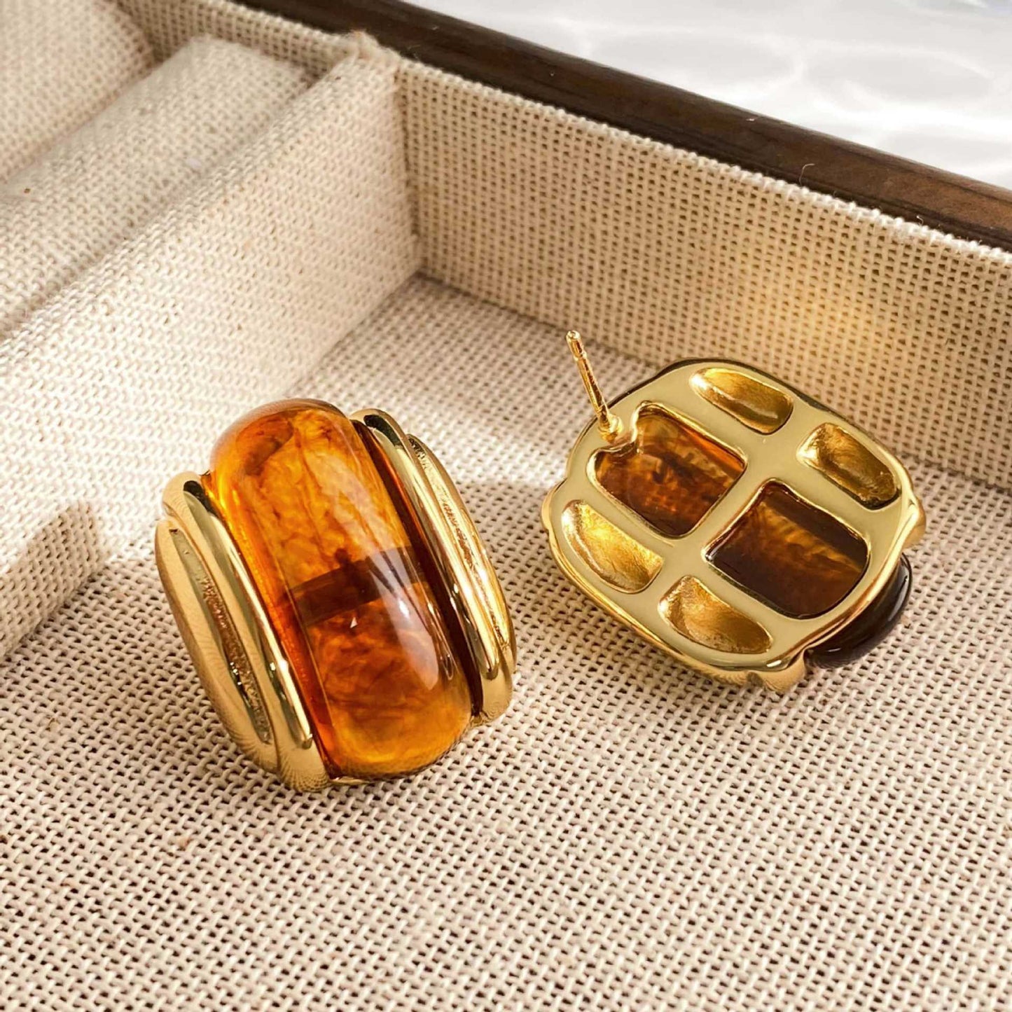 Luxury Resin Oval Optional Stainless Steel Earrings