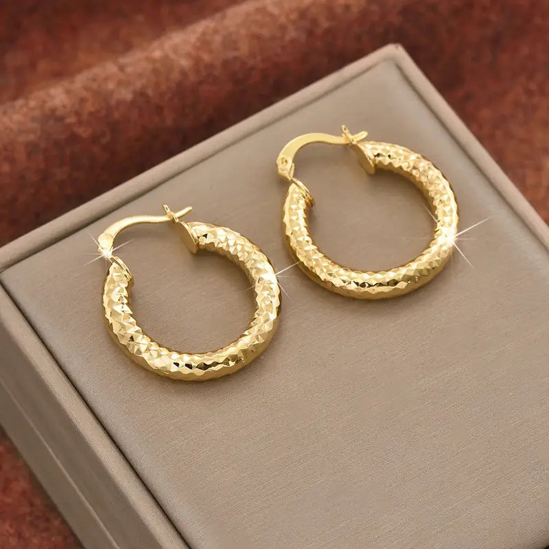 Affordable Luxury Embossed Ear Female Cold Wind Earrings