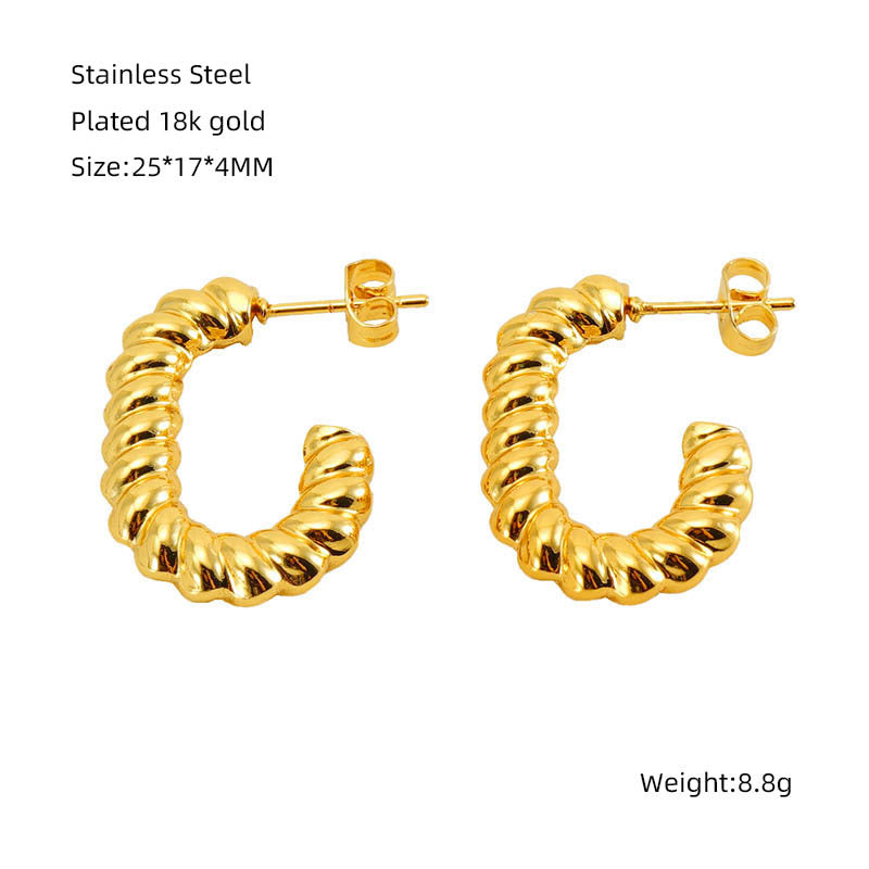 Stainless Steel Twisted Twist Niche Design Earrings