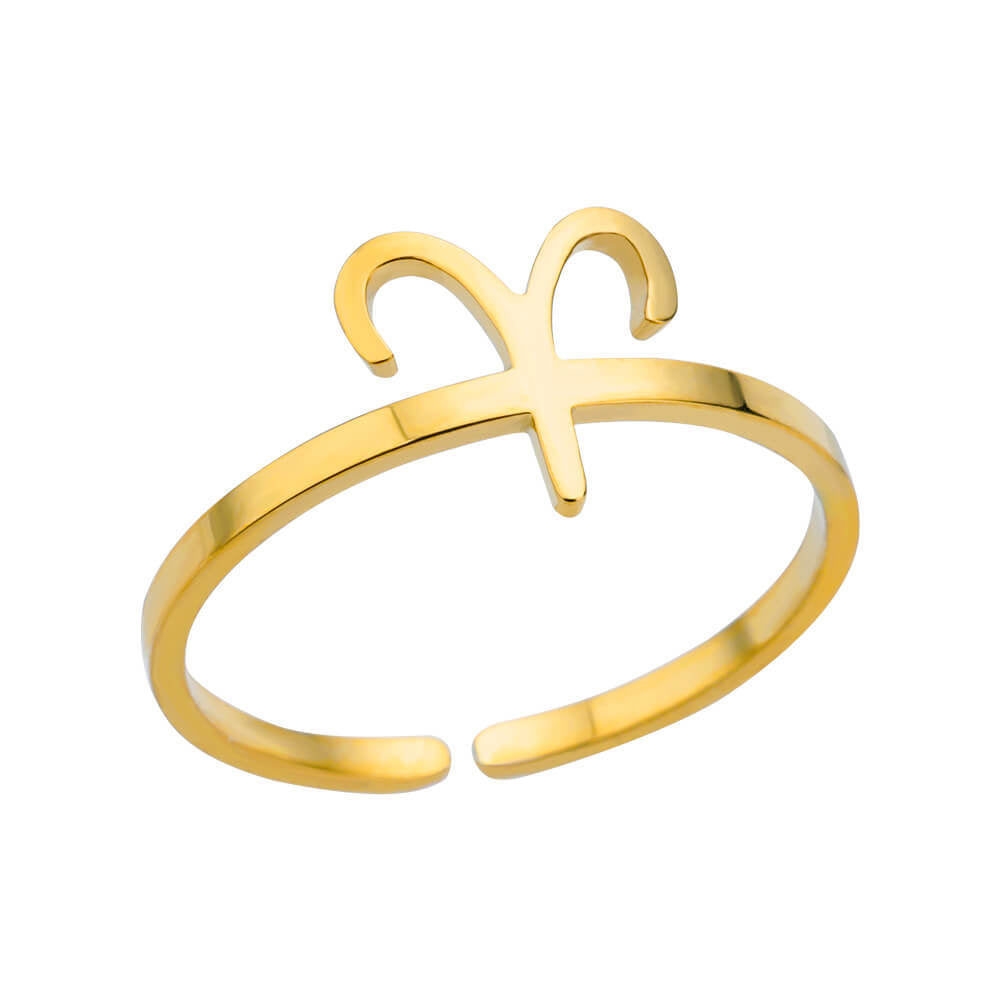 Steel Constellation Twee Symbol Birthstone Open Rings