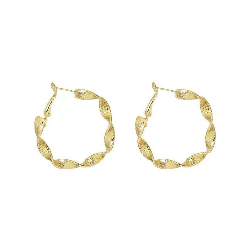 Light Luxury Temperament Fashion Simple Everyday Joker Niche Advanced Earrings
