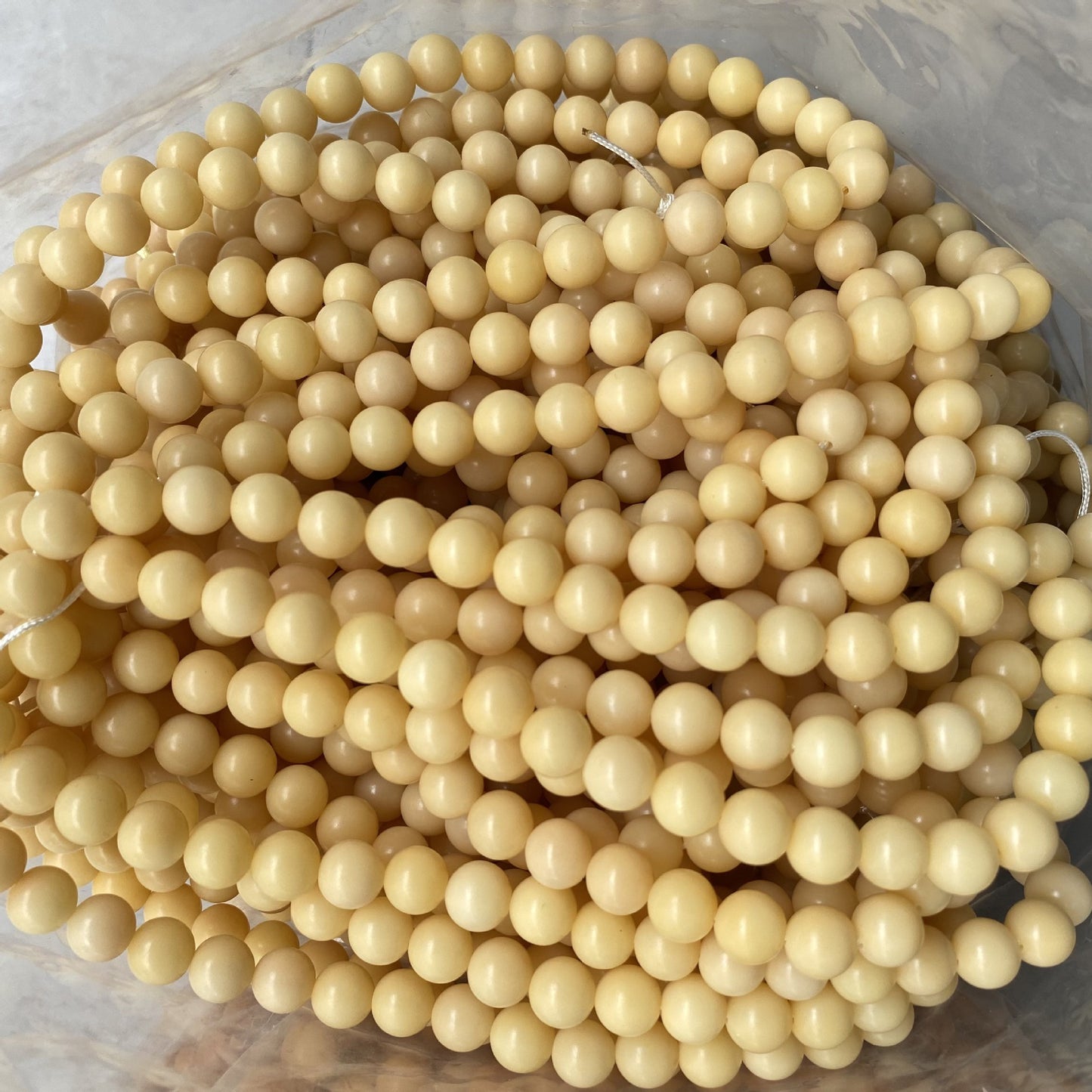 Women's & Men's White Jade Bodhi Corypha Old Barrel Beads Seed Buddha Crafts Bracelet