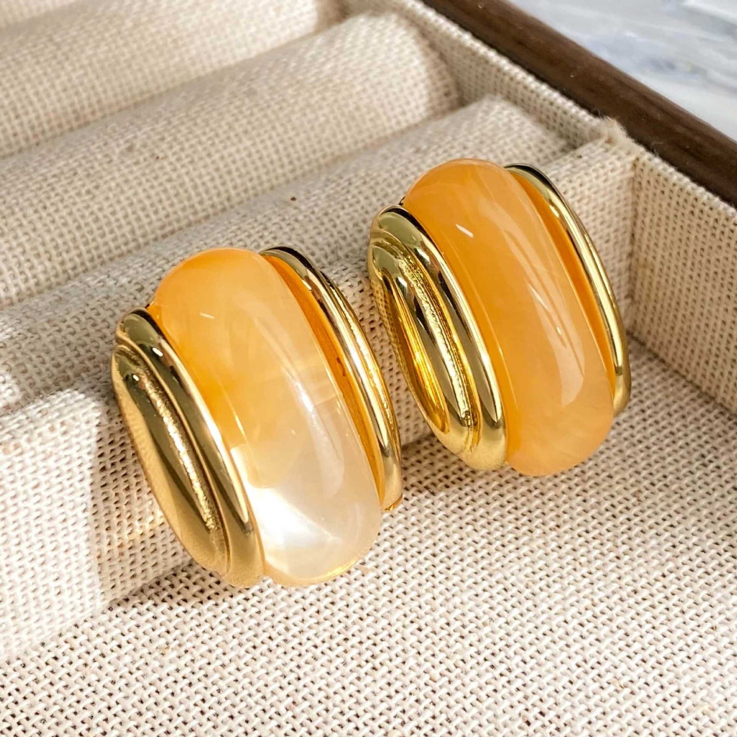 Luxury Resin Oval Optional Stainless Steel Earrings
