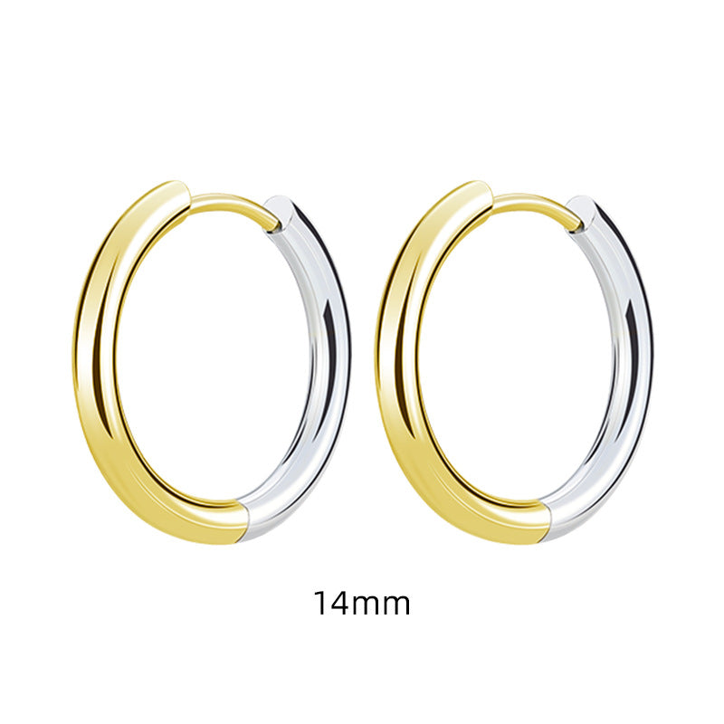 Luxury Minority High-grade Electroplating Temperament Gradient Earrings