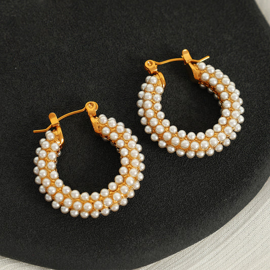 Women's Rhinestone Ear Special Interest Light Luxury Fashion Stainless Earrings