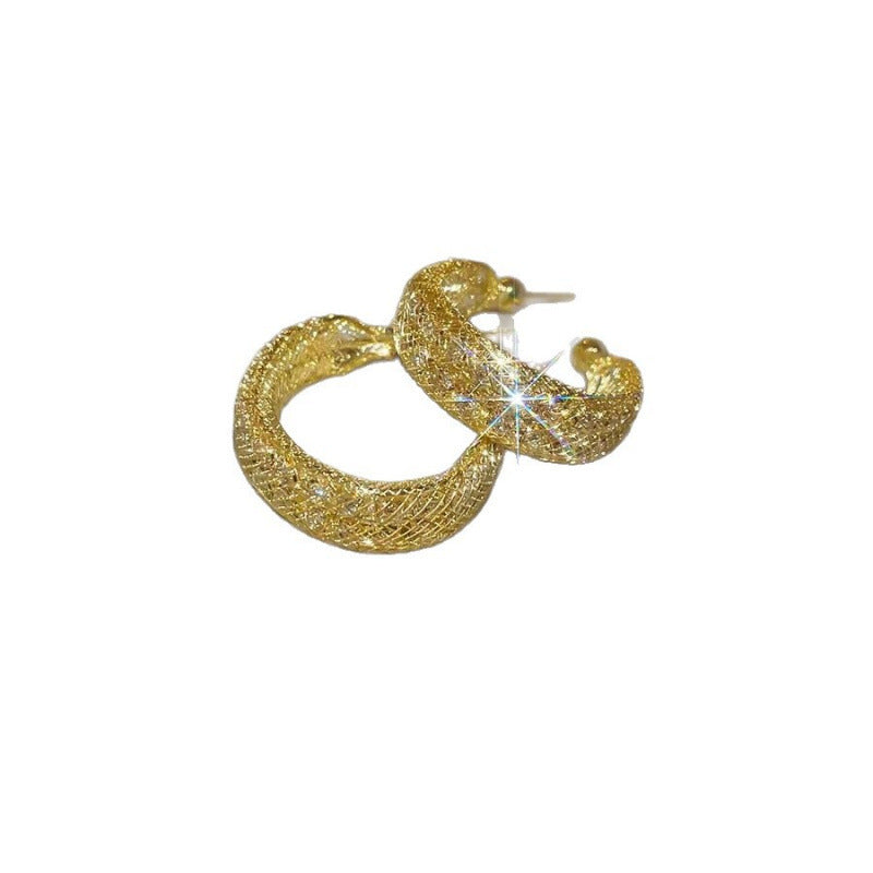Women's Delicate Super Shining Shaped Fashionable Elegant High-grade Ear Stud Earrings