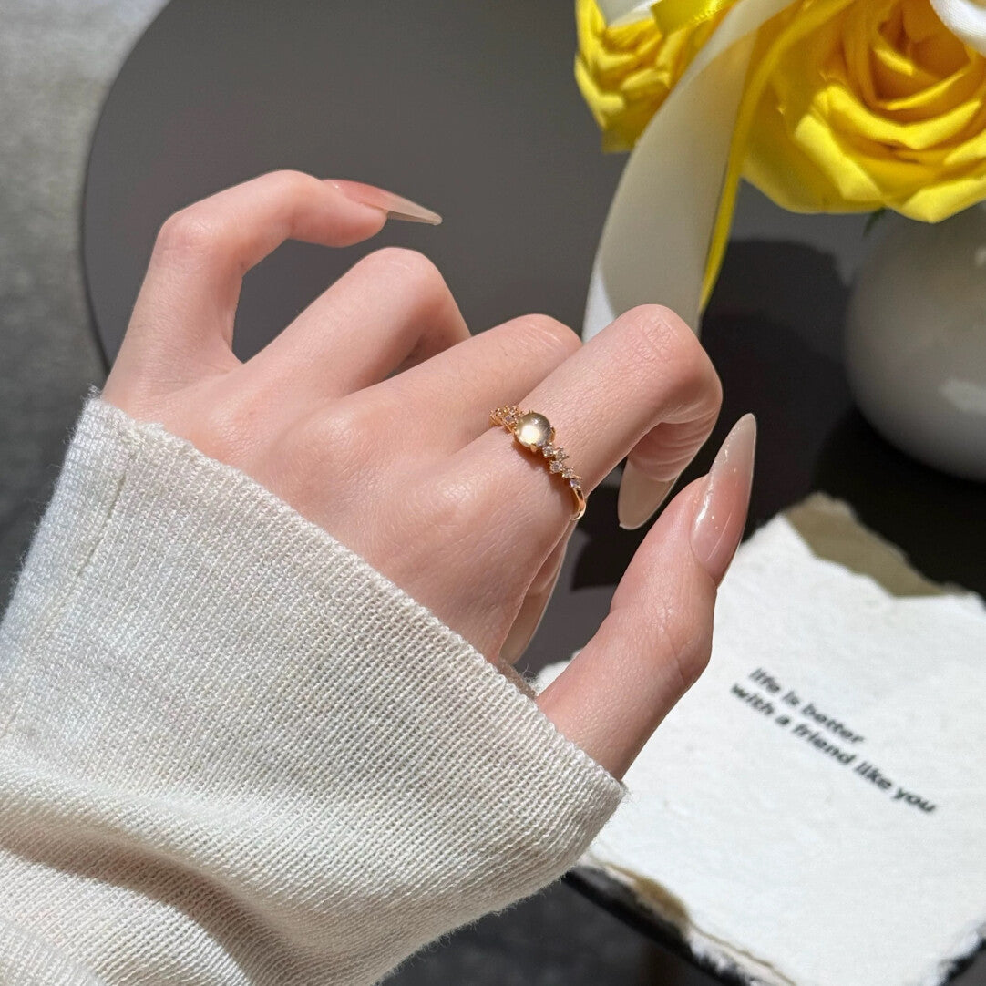 Affordable Luxury Style Niche Design Index Ring
