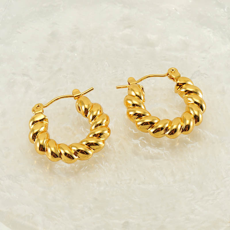 Stainless Steel Twisted Twist Niche Design Earrings