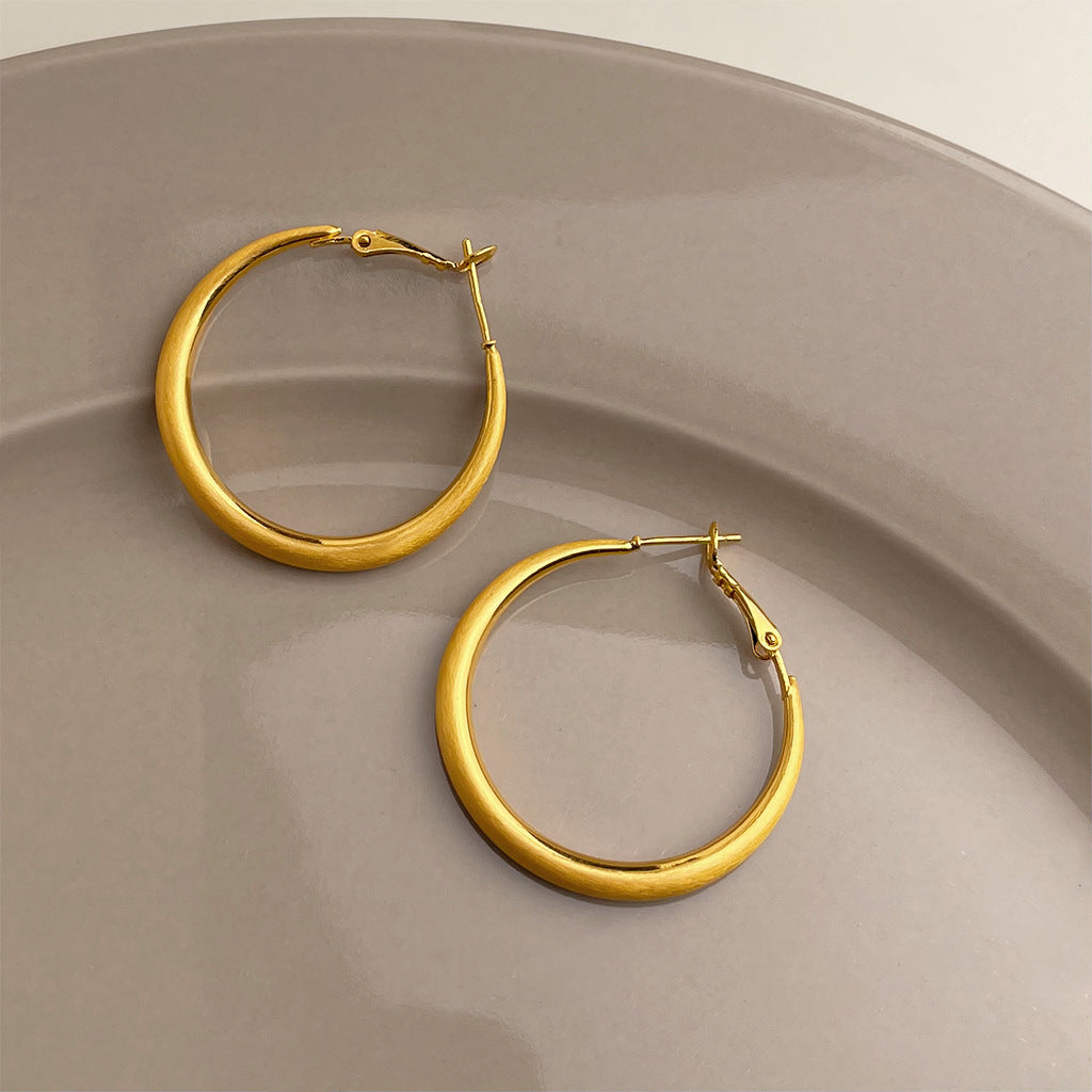 Matte Texture Geometric Female Niche Fashion Earrings