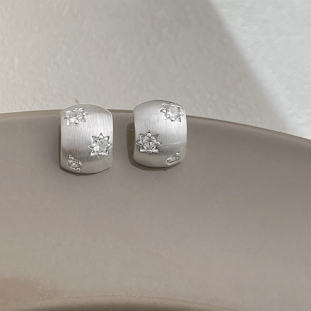 Matte Texture Geometric Female Niche Fashion Earrings