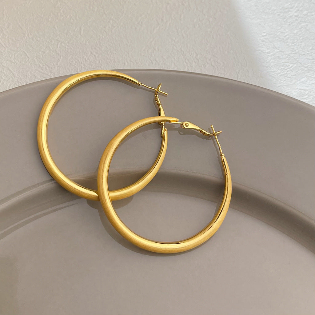 Matte Texture Geometric Female Niche Fashion Earrings