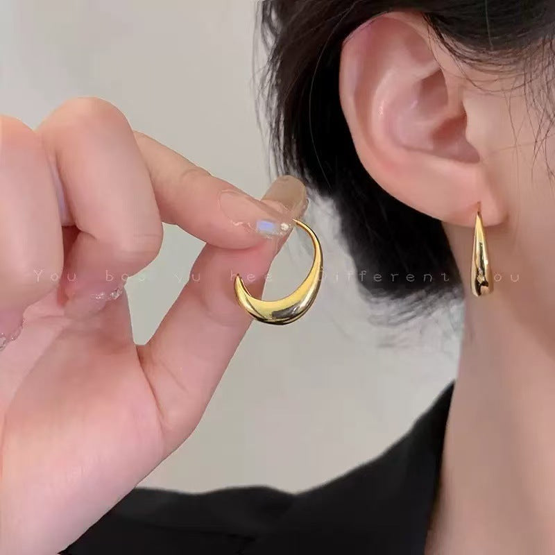 Luxury Pearl Water Drop Niche High Sense Temperament Fashion Earrings