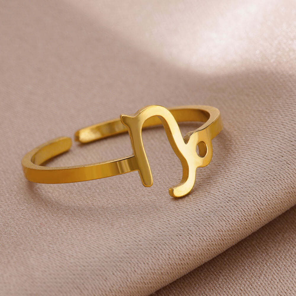 Steel Constellation Twee Symbol Birthstone Open Rings