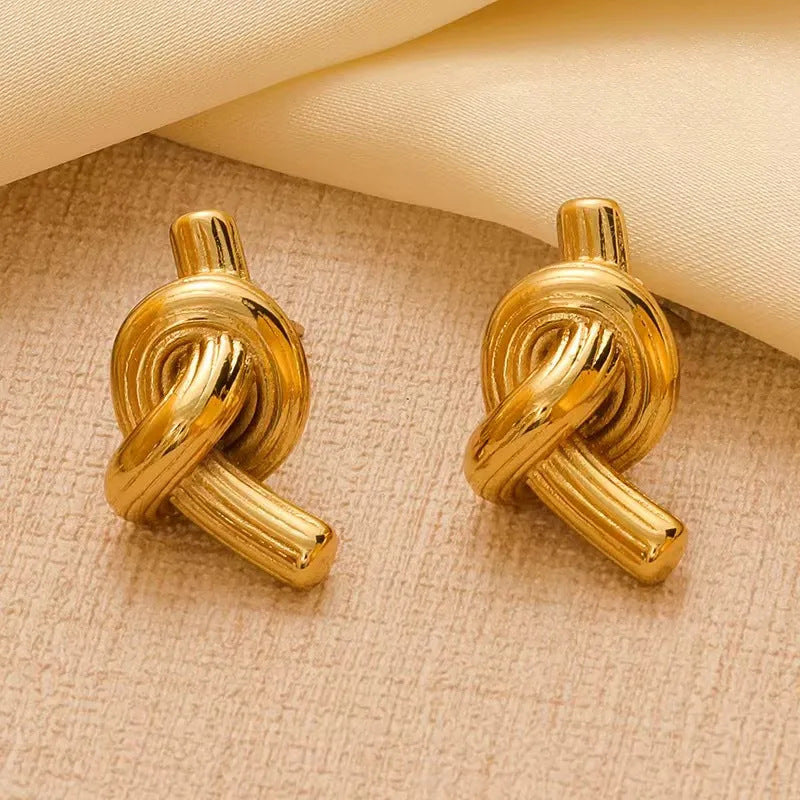 Steel Geometric French Retro Personality Titanium Earrings