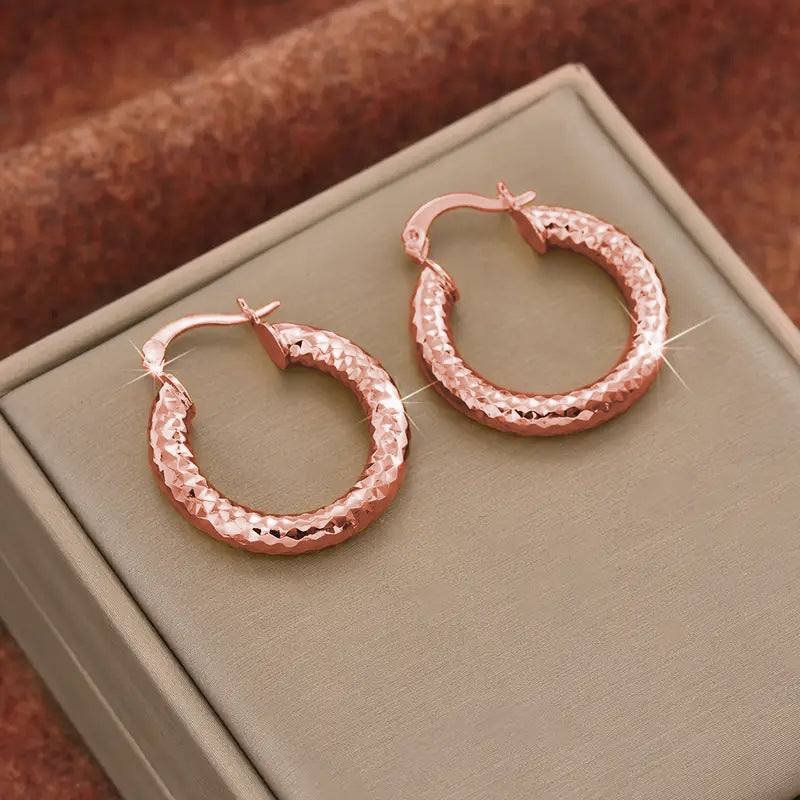 Affordable Luxury Embossed Ear Female Cold Wind Earrings