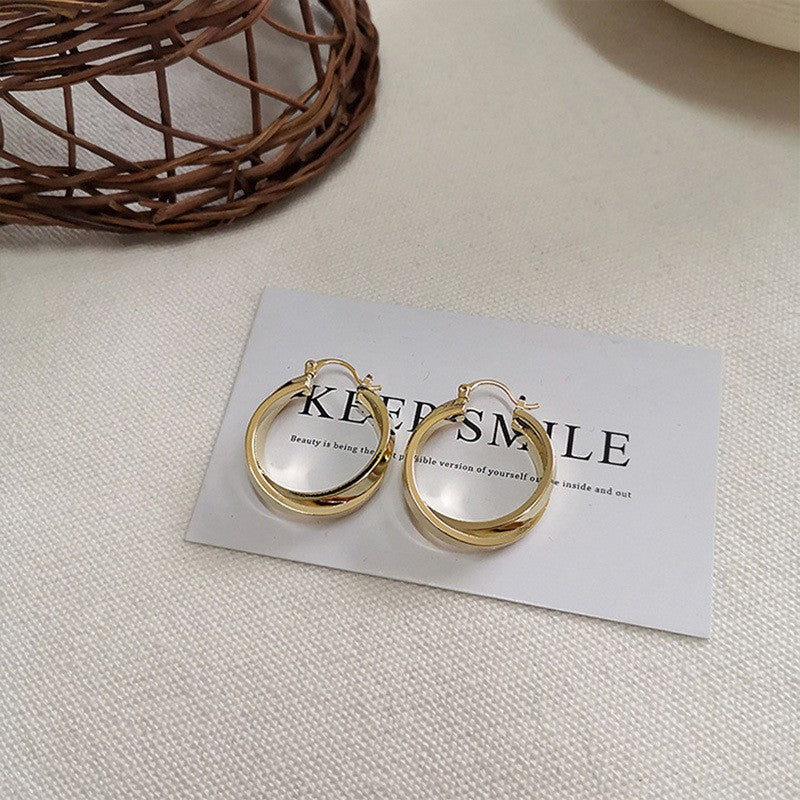 Light Luxury Temperament Fashion Simple Everyday Joker Niche Advanced Earrings
