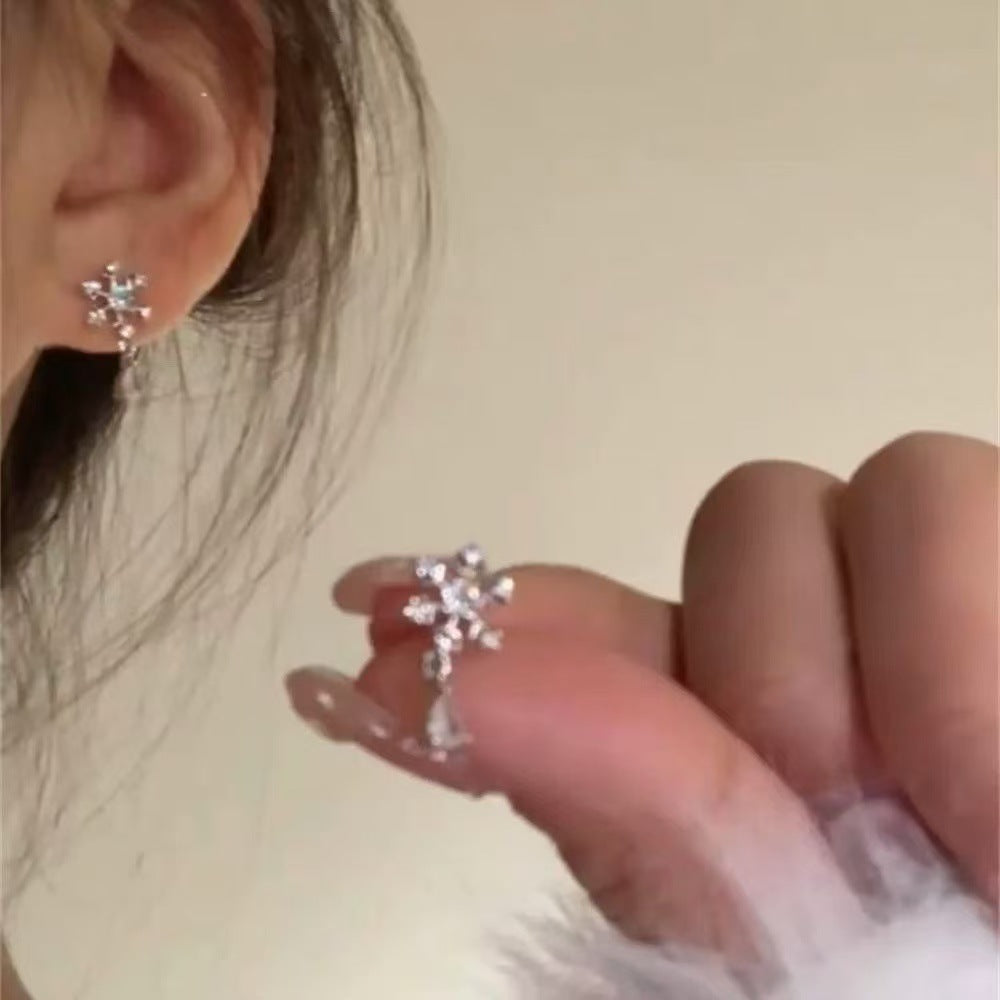 Luxury Pearl Water Drop Niche High Sense Temperament Fashion Earrings