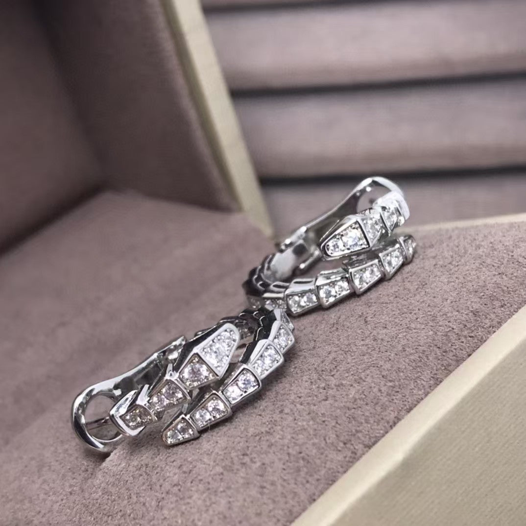 High Version Snake-shaped Ear Buckle Thick Earrings