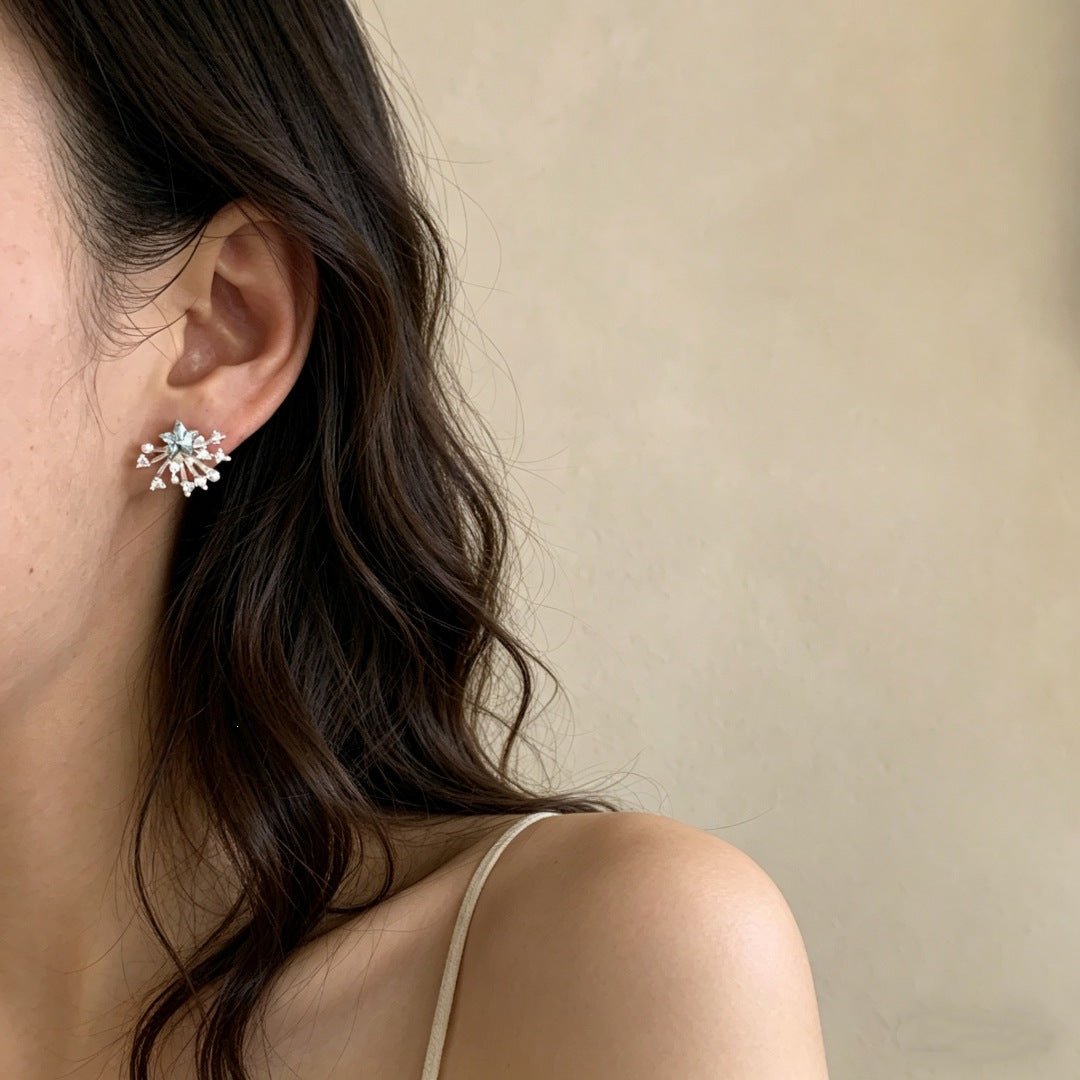 Sier Needle Exquisite Temperament Sparking Zirconium Earrings